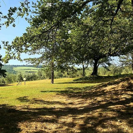 Holiday House Le Selvole Radda in Chianti Bagian luar foto