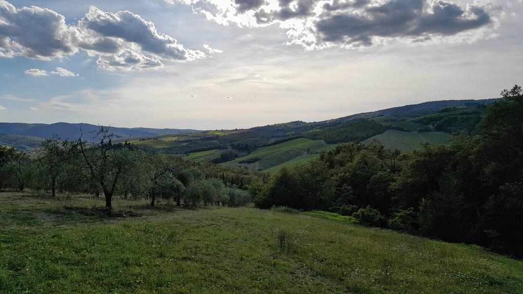 Holiday House Le Selvole Radda in Chianti Bagian luar foto