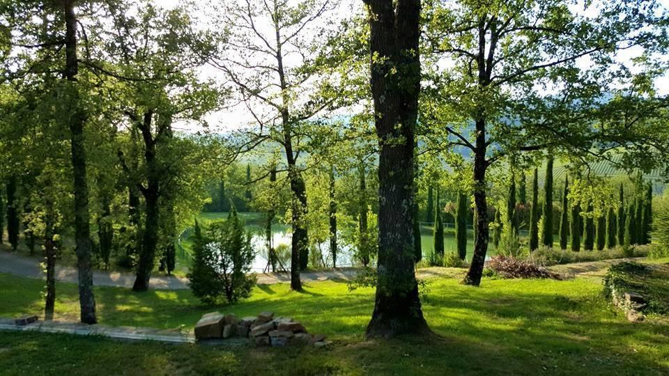 Holiday House Le Selvole Radda in Chianti Ruang foto