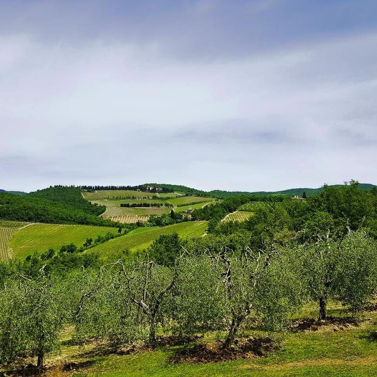 Holiday House Le Selvole Radda in Chianti Ruang foto