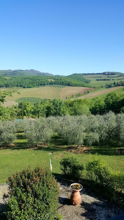 Holiday House Le Selvole Radda in Chianti Bagian luar foto