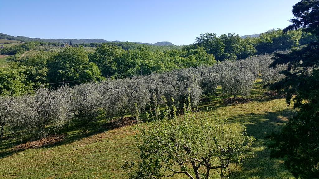 Holiday House Le Selvole Radda in Chianti Bagian luar foto